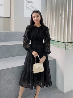 Lace Long Sleeved Dress for Women